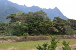 m_t003001022)田の神山.jpg