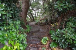 m_t003001023)田の神様参道.jpg