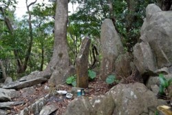m_t003001024)田の神様.jpg