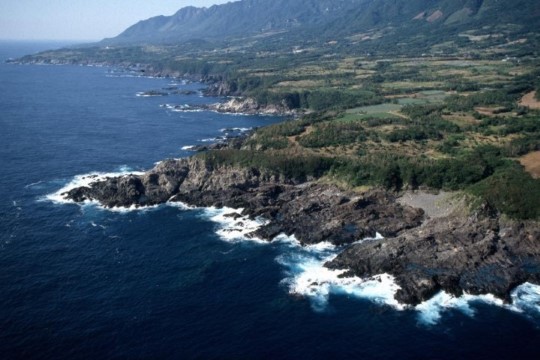 m_t004002001)浦崎空撮1983.jpg