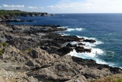 m_t004002003)浦崎東海岸.jpg