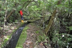 m_t004003003)鈴川沿い水路.jpg