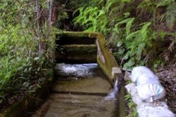 m_t004003008)水路隧道下流口.jpg