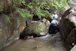 m_t004003010)取水口付近清掃作業.jpg