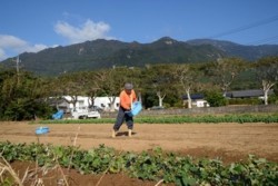 m_t005001007)自家用野菜づくり.jpg