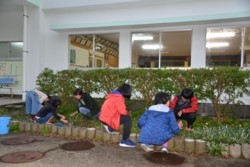 m_t005002005)公民館植栽手入れ.jpg
