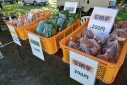 m_t007003006)様々な農産物.jpg