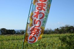 m_t007003009)ひまわり祭り旗.jpg