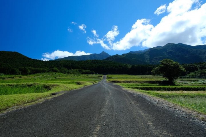 m_g001001001.jpg