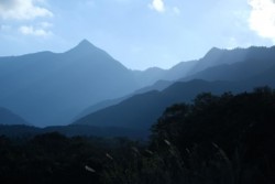 m_g001001005.jpg
