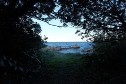 m_g001001008.jpg