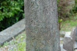 m_g002004005.jpg