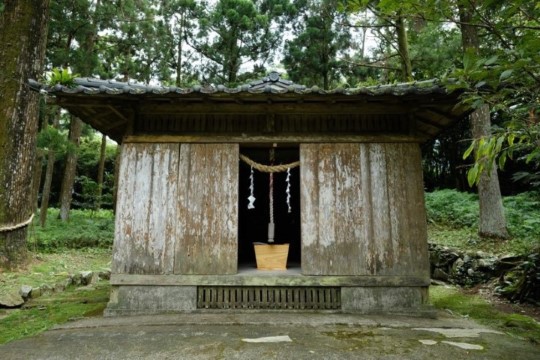 m_g004001001.jpg