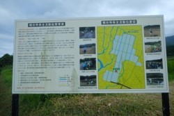 m_g004002010.jpg