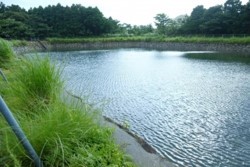 m_g004002012.jpg