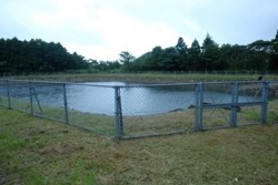 m_g004002013.jpg