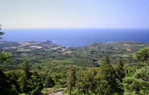 m_t000001)小島地区全景.jpg