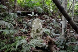 m_q001001014)水源の水神様.jpg