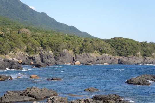 m_q001001001)麦生港東段丘海岸.jpg