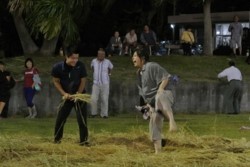 m_q002002010)h29相撲女性.jpg