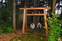 m_q002004010)大山祇神社参拝.jpg