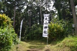 m_q002005003)大山祇神社祭幟.jpg