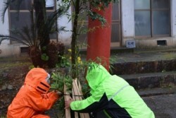 m_q002005022)弓矢八幡門松.jpg