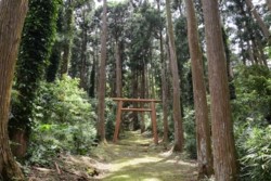 m_q004001010)大山祇神社鳥居.jpg