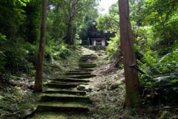 m_q004001011)大山祇神社参道坂.jpg