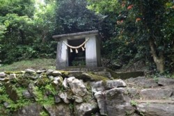 m_q004001012)大山祇神社祠.jpg