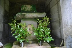 m_q004001013)大山祇神社祠内.jpg