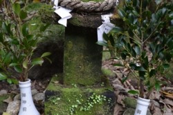 m_q004001019)中足山神祠.jpg