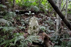 m_q004001028)寺上水神様.jpg