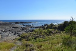 m_q004002011)ナンガの浜.jpg