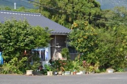 m_q005001010)緑豊かな住宅.jpg