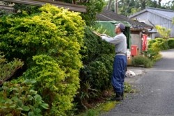 m_q005001013)住宅緑化手入れ.jpg