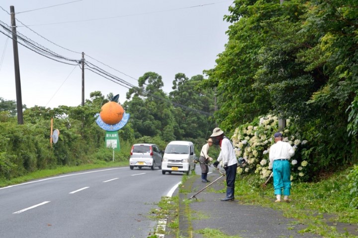 m_q005003001)切払い県道.jpg