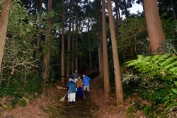 m_q005003007)年末清掃大山祇神社.jpg