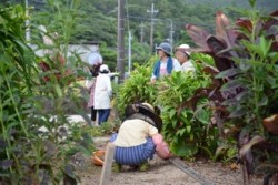 m_q005003020)若草会墓地清掃草取り.jpg