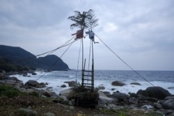 b002010005.JPG