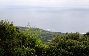 m_o000001)平野地区中央部方面.jpg