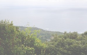m_o000001)平野地区中央部方面.jpg