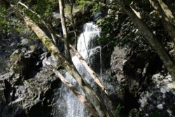 m_o004001005)オテミズの滝②.jpg