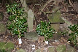 m_o004001011)山の神.jpg