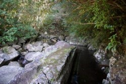 m_o004002003)花揚川取水口附近.jpg