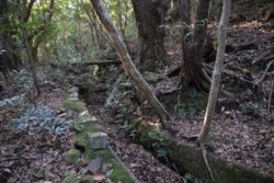 m_o004002005)水路跡.jpg