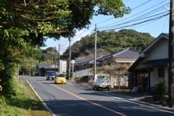 m_o005001010)民宿もある.jpg