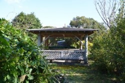 m_o005002016)公園東屋.jpg