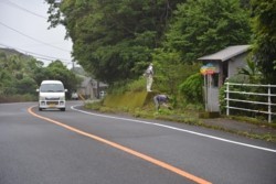 m_o005003004)環境美化作業④.jpg
