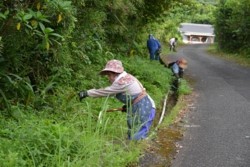 m_o005003009)町内一斉美化作業③.jpg